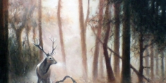 Misty Forrest